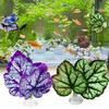 Peixes e animais aquáticos – Decoração de aquário