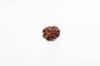 Přírodní 3mukhi korálek Rudraksha | Certifikovaná autentická Rudraksha pro duchovní růst | Pravý posvátný korálek pro meditaci a léčení