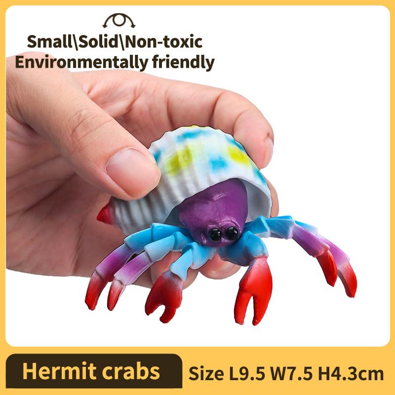 Hermit Crab Figurine Sea Life Animals Model Figure Educational Toy Boys Girls Kids Ages 18M for and Kid Friendly Entertaining Fun Play Safe
