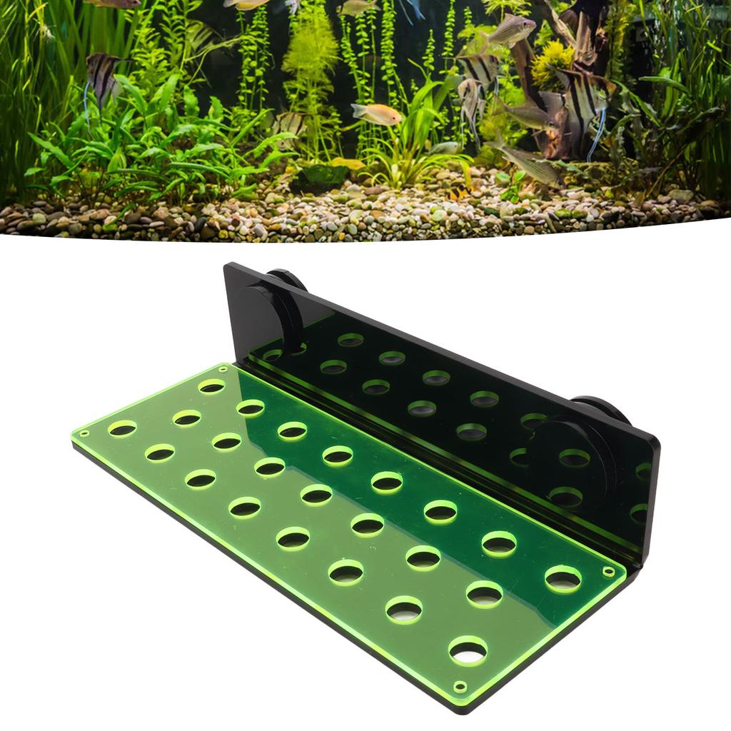 Supporto Magnetico in Acrilico per Coralli a 23 Fori Multistrato Fluorescente Supporto per Frammenti di Corallo Supporto per Coralli per Acquario Pesci