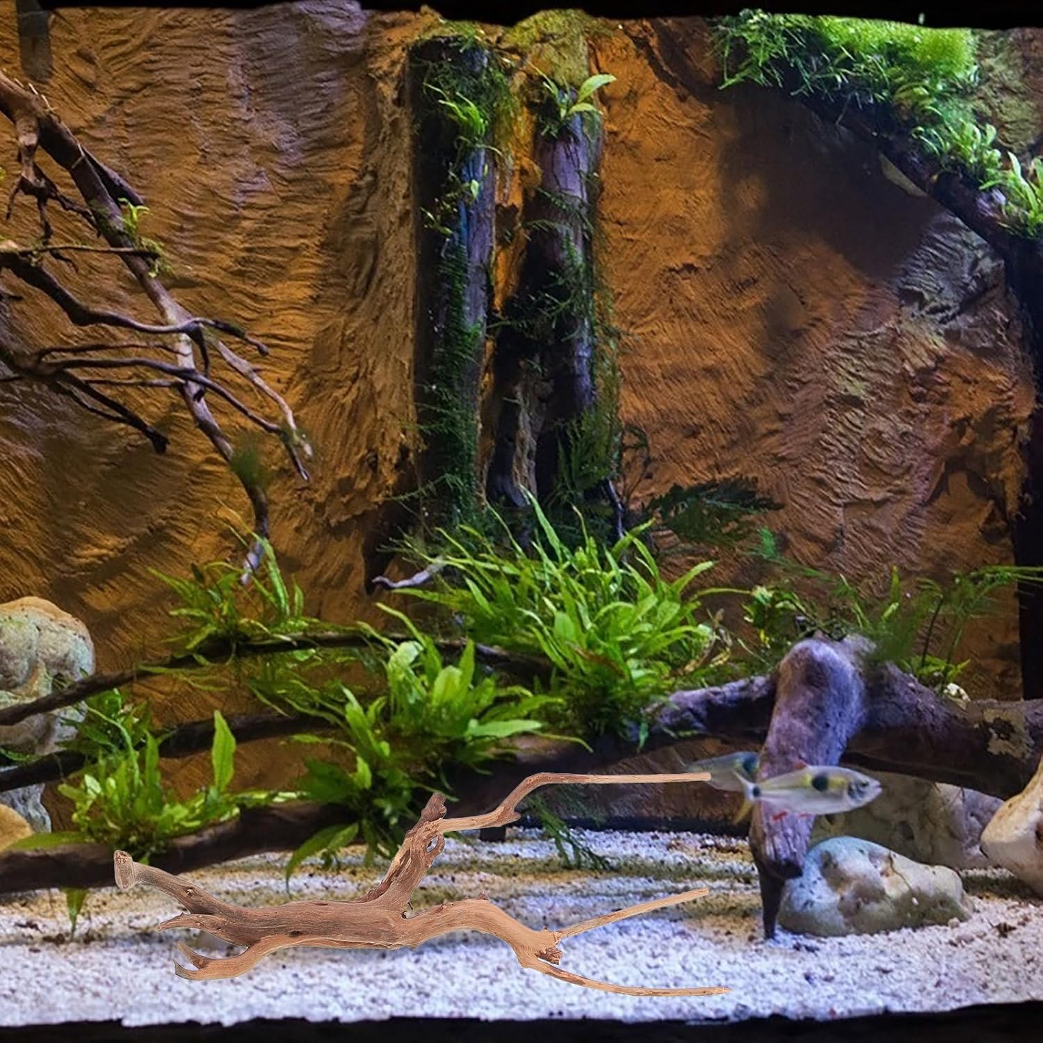 

Mipcase 3 шт. Коряга для аквариума, Паучье дерево для аквариума, Аквариумные украшения, Украшения для аквариума, Коряга для декора террариума