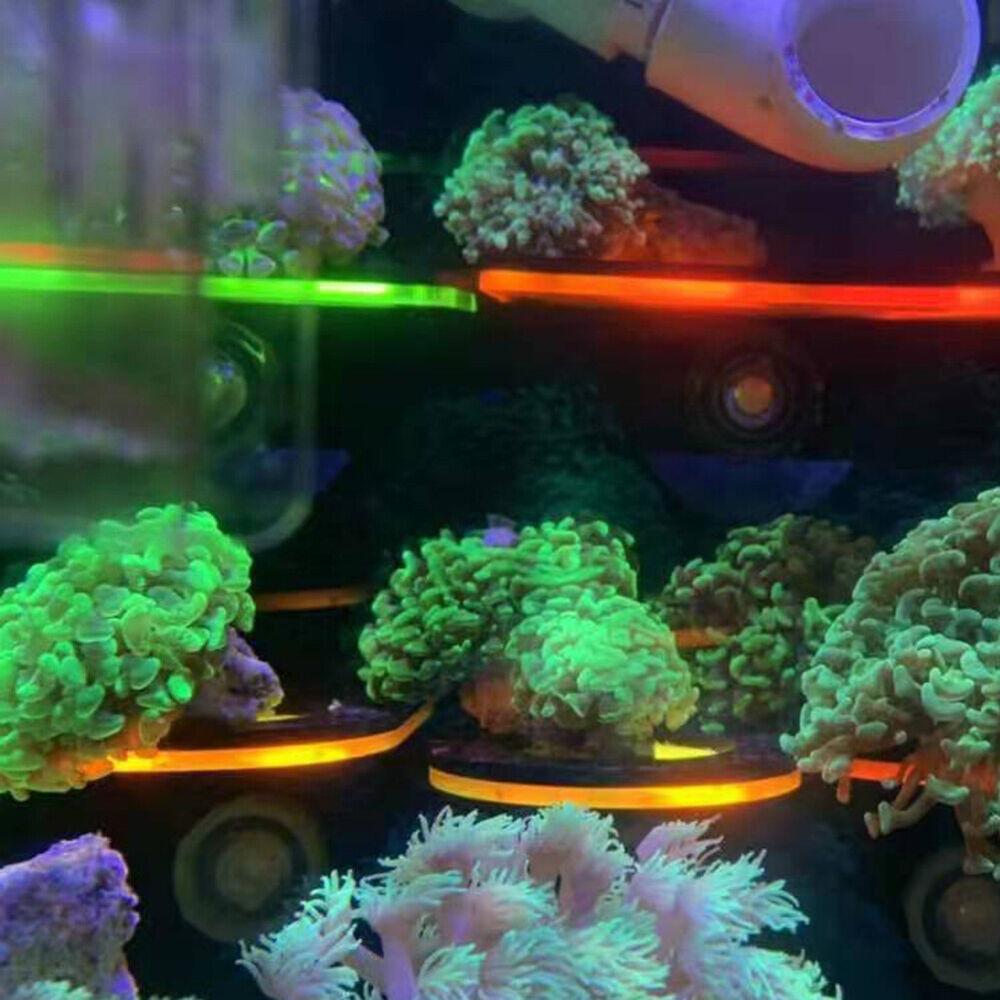 Suction Cup Coral Growing Fish Tank Acrylic Coral Rack Fluorescent Coral Frag Bracket Coral Holder