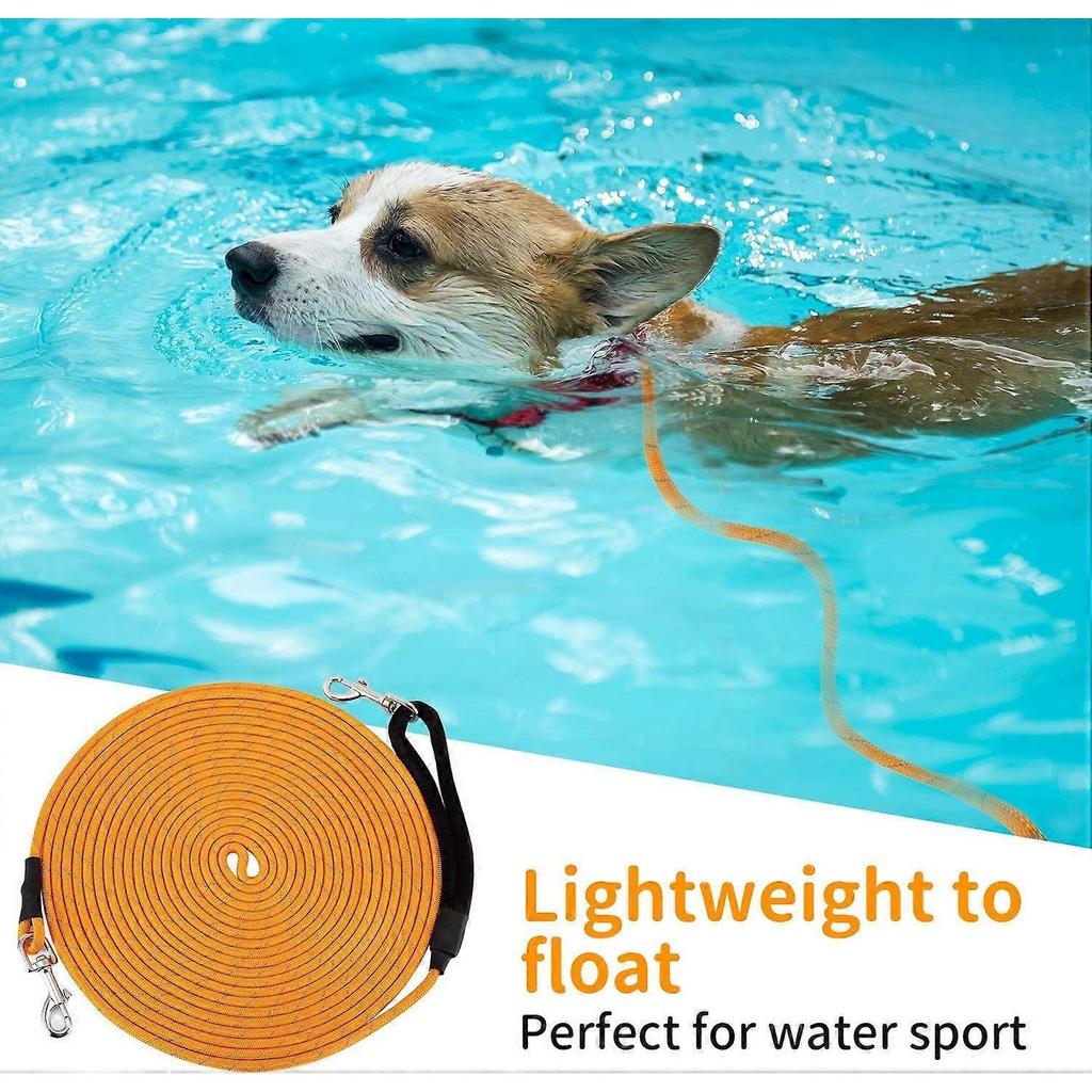 Dog Training Lead Long Dog Line 10m Extra Long Heavy Duty Reflective Dog Leash for Medium Large Dogs