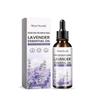 Lavender Essential Oil for Moisturizing & Sleep - 100ml, Natural, Antioxidant, Soothing