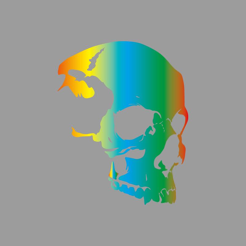 

Расширенная текстура скелета черепа Дизайн приключений на открытом воздухе, наклейки для приключений на открытом воздухе украшения на природную тематику прочный винил S