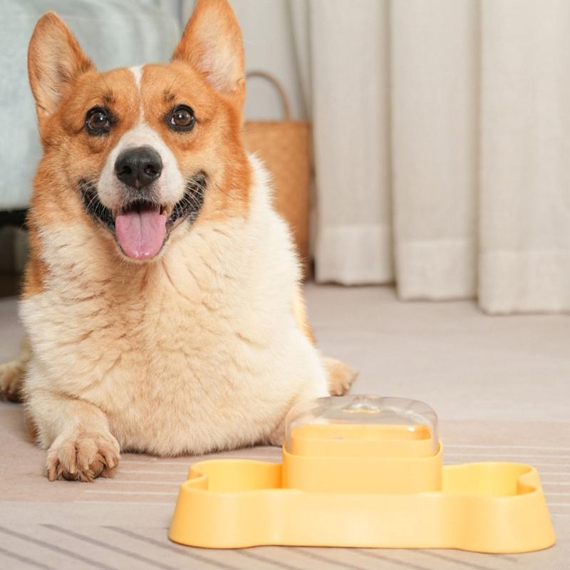 

Interactive Cats Foraging Slow Feeder Teasing Press Rotating Toy Multifunctional Cats Teasing Toy HX6C CN