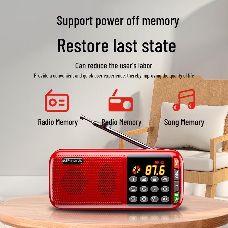 SAST Portable Multi-Function Radio & Media Player