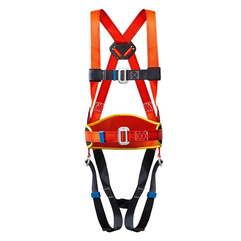 Full Body 5-Point Safety Harness