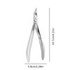 Stainless Steel Ingrown Toenail Clippers Slanted Design with Extended Tip for Thick Soft Nails Eagle Beak Nail Clippers  Gift