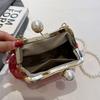 Vintage Embroidered Crossbody Bags for Women Metal Handle Shoulder Purse with Chain Strap Bohemian Style Handbag Gift Her wallet