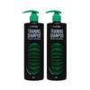 Gatsby Hair And Scalp Training Shampoo 500ml X2