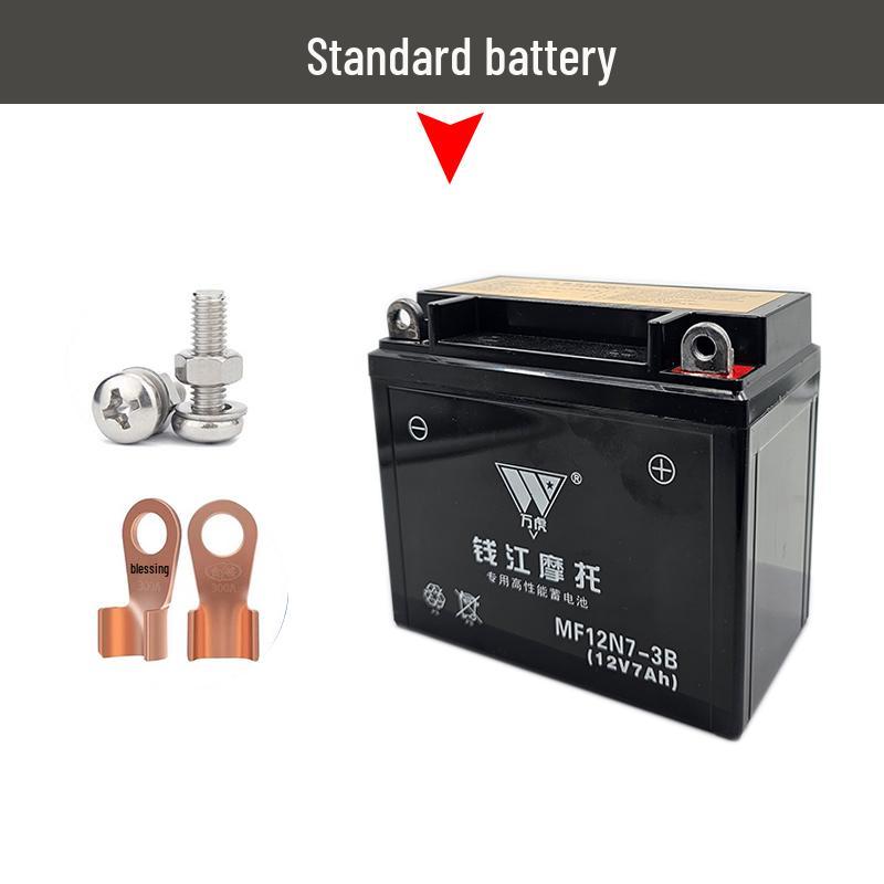 Qianjiang QJ150-18A/H Men's Motorcycle 12V7A Maintenance-Free Dry Battery