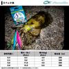 Daiwa PE Line UVF Emeraldas DuraSensor X 200m 5 Colors 8LD+Si2 0.6