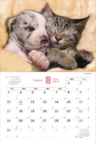 2025 Ημερολόγιο Nakayoshi Σκύλος/Γάτα <Γεμάτο χαριτωμενιά!> Κάθε μέρα είναι μια χαλαρωτική στιγμή > ([Ημερολόγιο])
