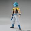 Bandai SPIRITS Standardní dračí koule Super Saiyan Bůh Super Saiyan Gogeta Barevně odlišený plastový model