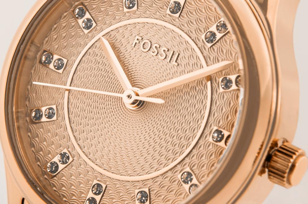 Women's Watch FOSSIL Modern Sophisticate BQ1571 + BOX