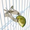 1-10 Stück Vögel Papageien Obstgabeln Kunststoff-Lebensmittelhalter Fütterung am Käfig Vogeltränke Papagei Haustier Vogel Kunststoff-Lebensmittelhalter Haustierbedarf