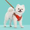 Chic Pet Dog Harness and Leash Set Solid Color Teddy Bear Design, Adjustable Chest Strap, Easy To Clean, Ideal for Small To Medium Dogs