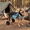 Adjustable Pet Wheelchair Cart Comfortable Rehabilitation Walking Assistant  Outdoor Use