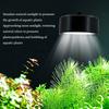 90 Grad Biegung Aquarium LED Licht 8W 110-220V USB Pflanzenlicht Algenlampe Fischbeckenbeleuchtung
