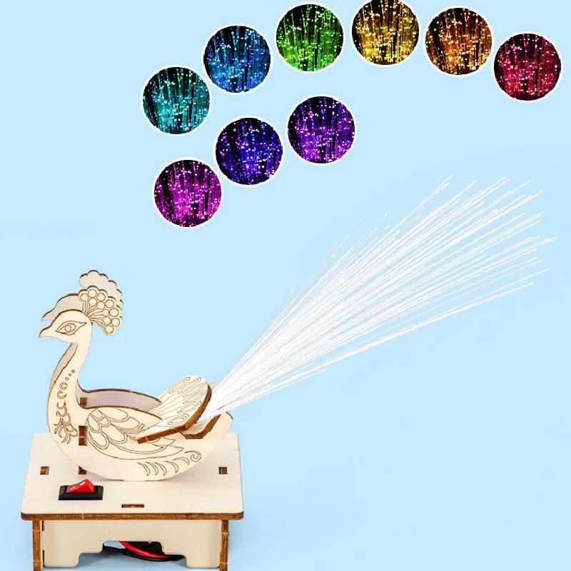 Childrens Peacock Display Science Experiment Kit With Diy Electric Toy For Learning And Creativity