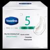 Vaseline Smooth Skin Body Scrub