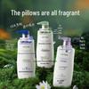 Weitesi Scalp Intensive Care Amino Acid Smoothing Repair Shampoo