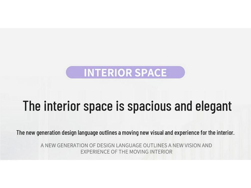 BYD Dolphin Car Seat Cover - Full Wrap, Leather, All-Season Universal Fit