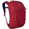 Рюкзак Osprey Jet 12 cosmic red