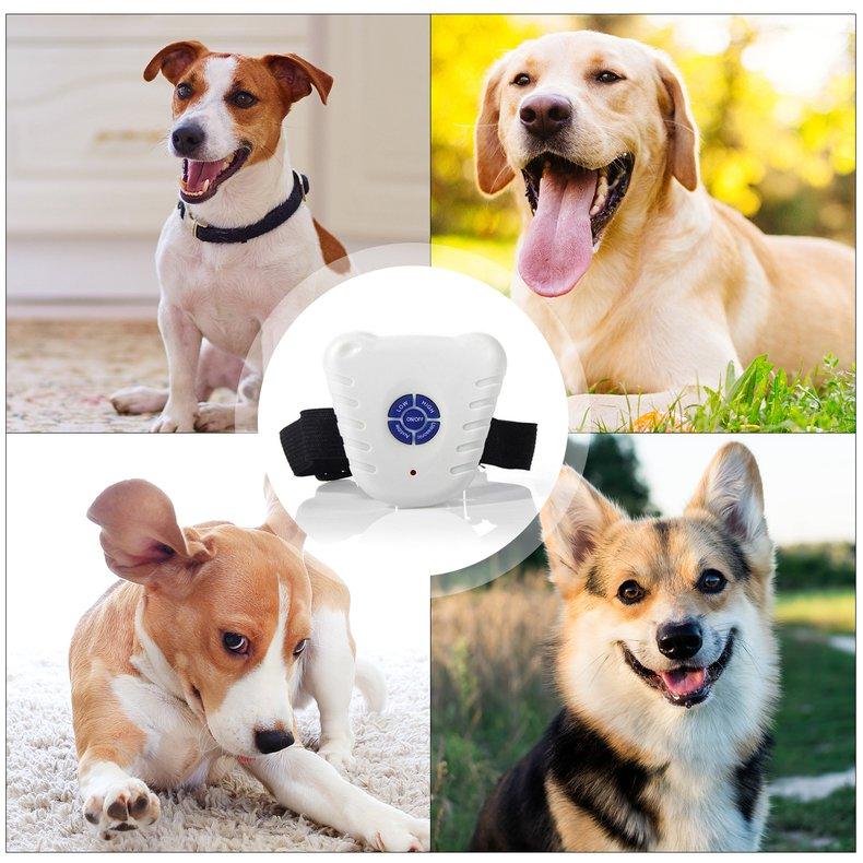 training collar with bark control