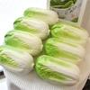 Pack Of 4 Realistic Vegetable Model Faux Cabbage for Home Table and Restaurant Display Cabinet Showcase Decoration