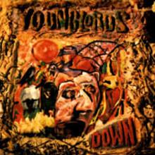 

CD YOUNG LORDS - Down AM0022 Augmented Mamma 1993 US Rock Used