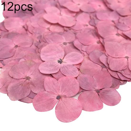 12Pcs Pressed Dried Epoxy Flower Plant Specimen Decor Resin Phone DIY