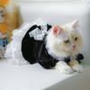 Dog Costume Dress Cat Clothes Cute Clothing Outfits Small Animal Lace Decors Apparel for Girl Cat Puppies Small Dogs
