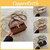 Trendy Street Fashion Pu Leather Small Square Handbag 2024 New Chic Shoulder Bag