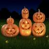 Halloween Hars Pompoen Lantaarn met LED Licht Herfst Decoraties Set voor Buiten Portiek Tuin Feestelijke Scène Opstelling Oranje Festival Cadeau