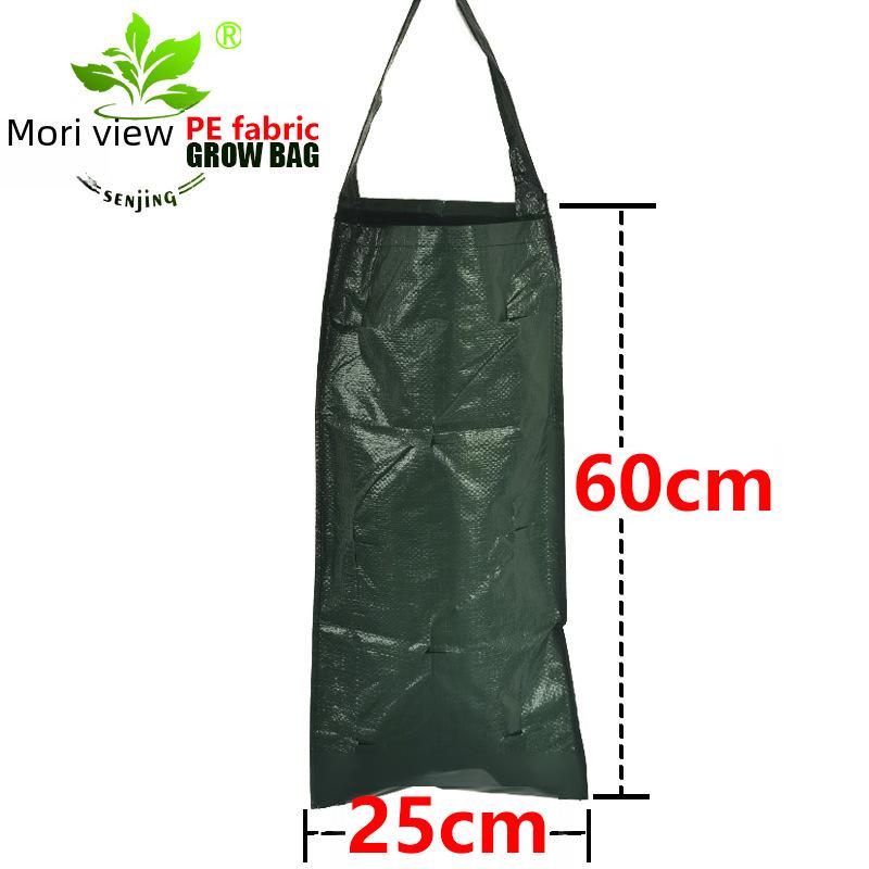 Senjing PE Hanging Strawberry Planter Growth Bag