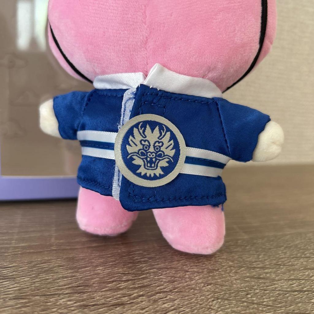 [USED] BT21 cookie Hanbok COSTUME PLUSH TOY