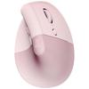 Periferice pentru calculatoare – Mouse-uri