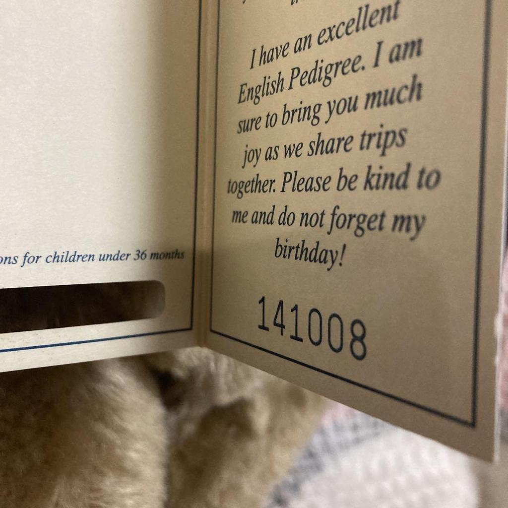 [USED] Used Teddy Bear from the English Teddy Bear Company