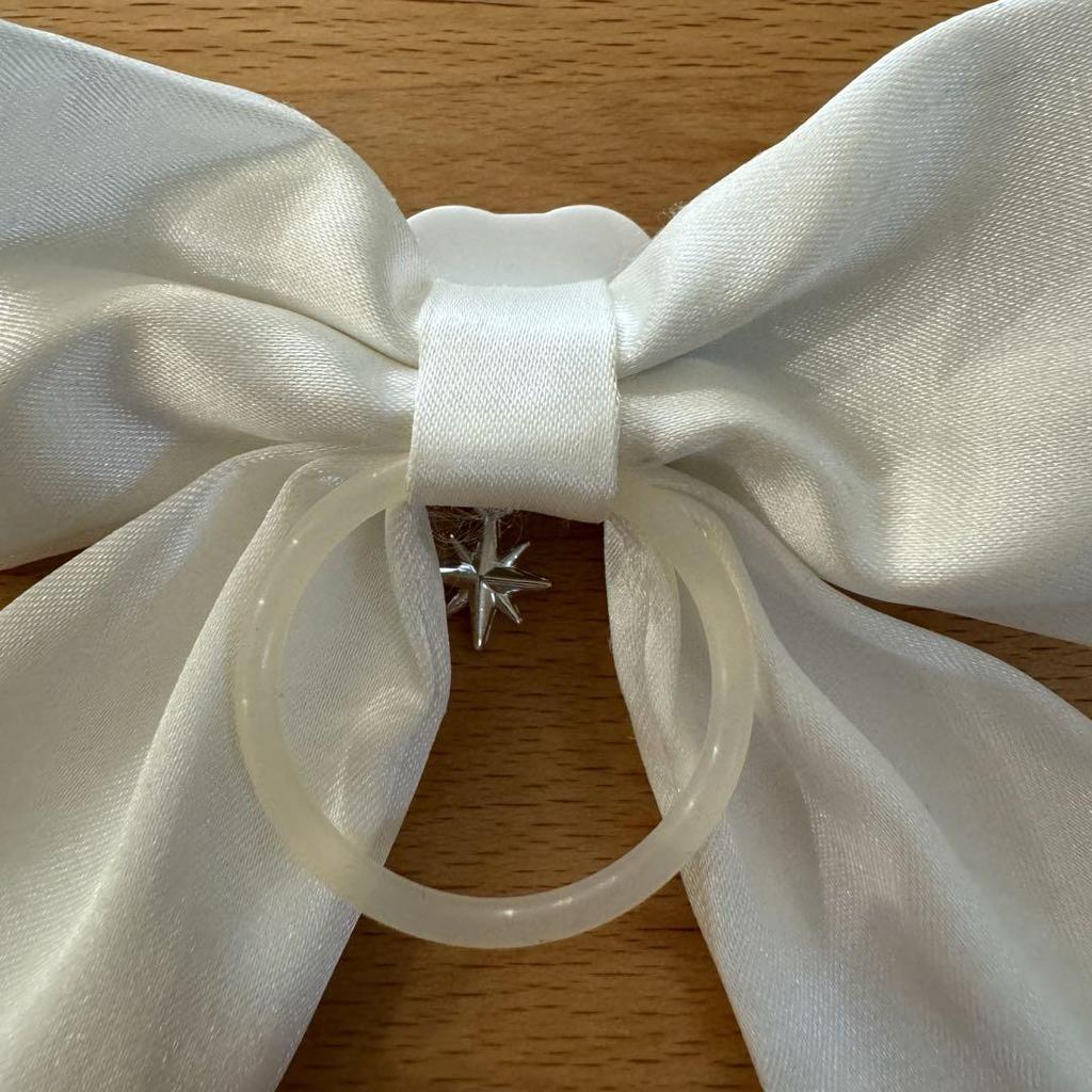 [USED] Anonymous Shipping Stray Kids Penlight Ribbon PuppyM