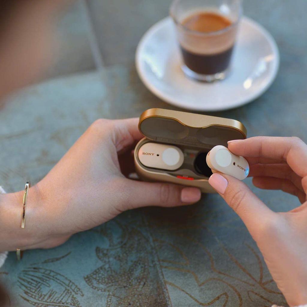 Sony Wireless Earphones Fully Wireless Amazon Alexa Bluetooth Audio Equivalent Up To 6 Hours of Continuous Playback 2019 Model With Microphone 360
