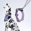Automatic Extendable Pet Collar  For Owners  Dog Collar Telescopic  Pet  Walking Rope