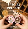 moin moin dollhouse miniature handmade kit set [Japanese manual included] A small seed house where rabbits live  Palm-sized, ultra-compact, for