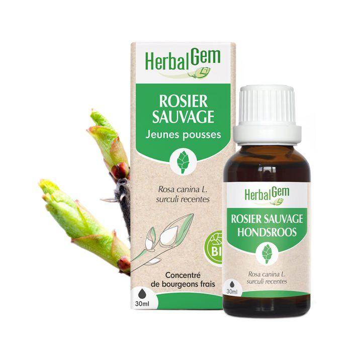 COMPLEMENT TONUS - COMPLEMENT VITALITE Macérat mère bourgeons de Rosier sauvage Herbalgem - 30 ml