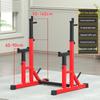 WEZHO Professional Adjustable Squat & Bench Press Rack