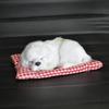 Dog Plush Sleep Toy Model Ornament Make Sound Lifelike Simulation Doll Gift