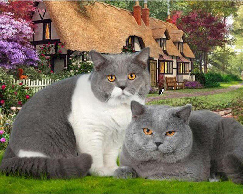 5D Diamond Painting Spring Landscape Flower Rainbow Pictures Of Rhinestones Diamond Embroidery Cross Stitch Cat Animal Mosaic Home Decor