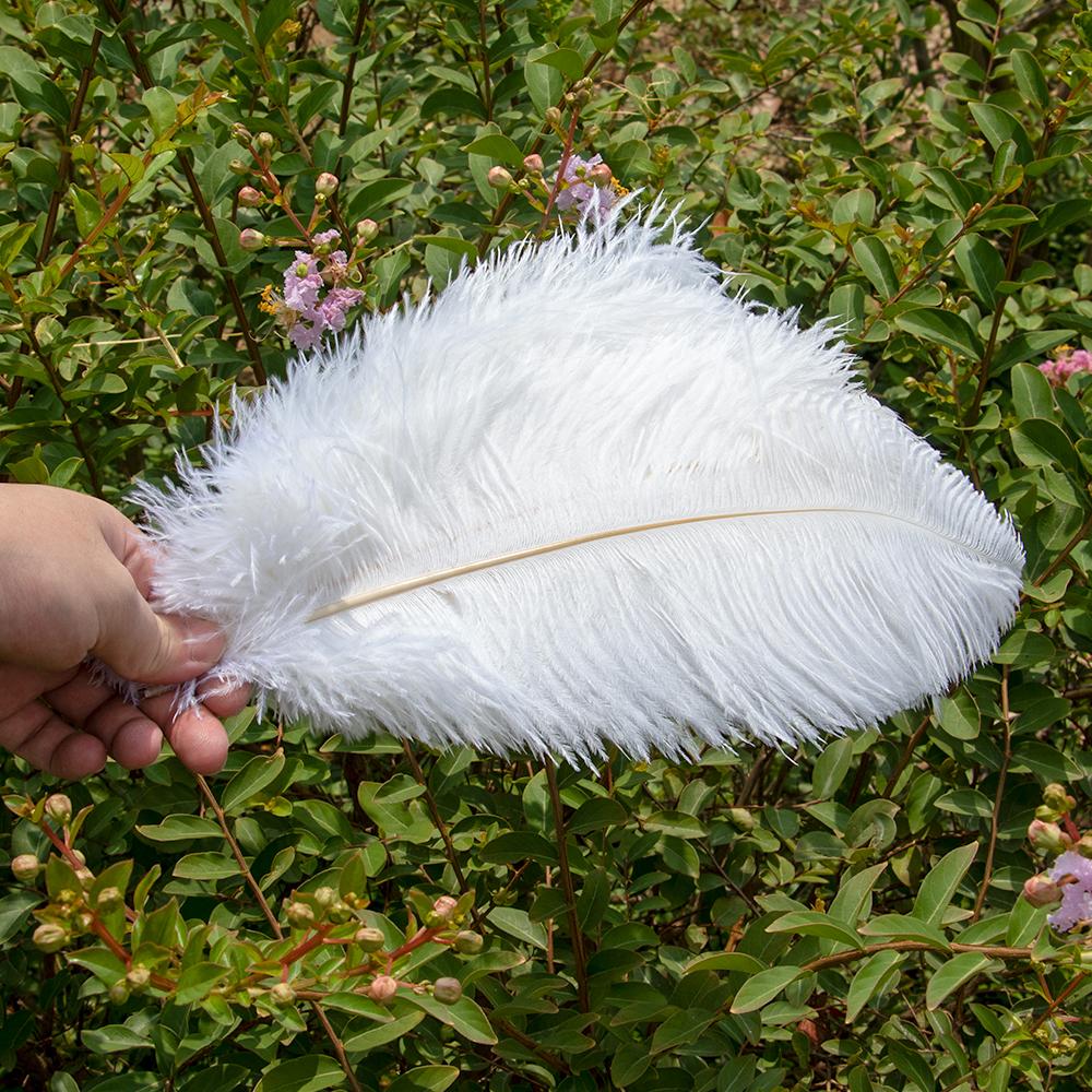 10 buc Pene Naturale de Struț Vrac 15-50cm Pană pentru Meșteșuguri pentru Petrecere Nuntă Decor Acasă Centrul Mesei Decorare Bijuterii