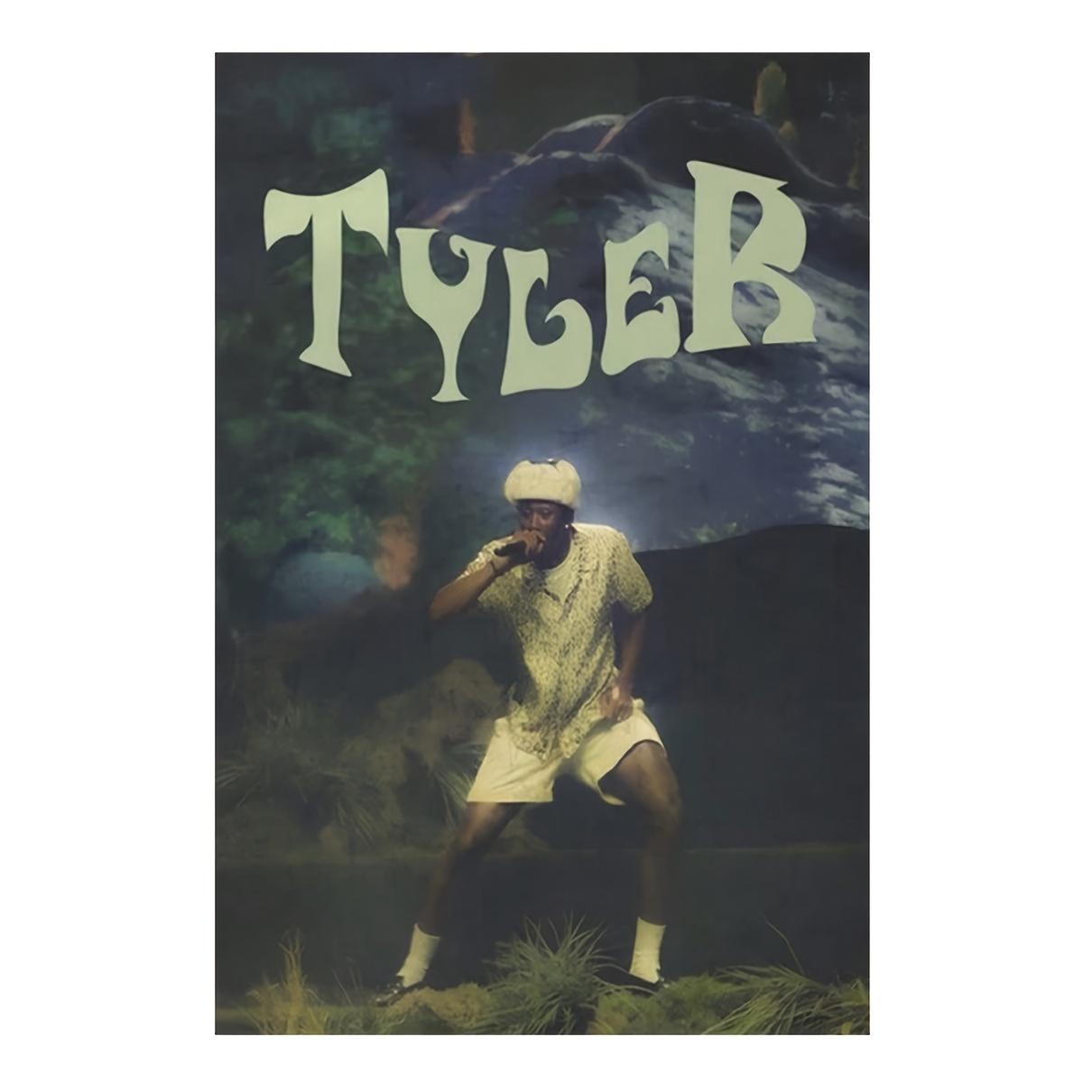 1 Stuk Tyler The Creator Live Optreden Wandkleed Voor Slaapkamer Woonkamer, Coole Kamer Spullen, Groot Formaat, Polyester 2D Print, B 60X90cm